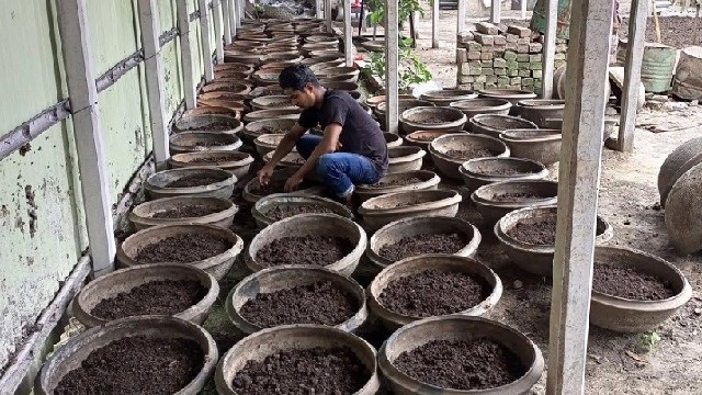 শৈলকুপার রঘুনন্দনপুর গ্রামে জৈব সারের কারখানা গড়ে তুলেছেন মনিরুজ্জামান সজীব